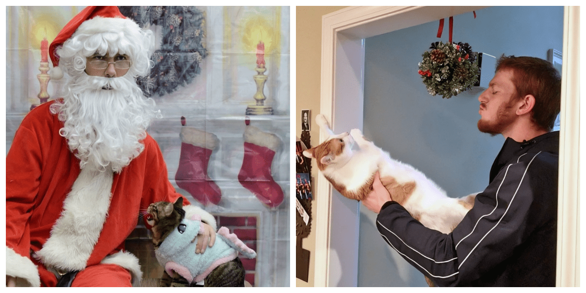 40 Times Cats Comically Refused Cuddles