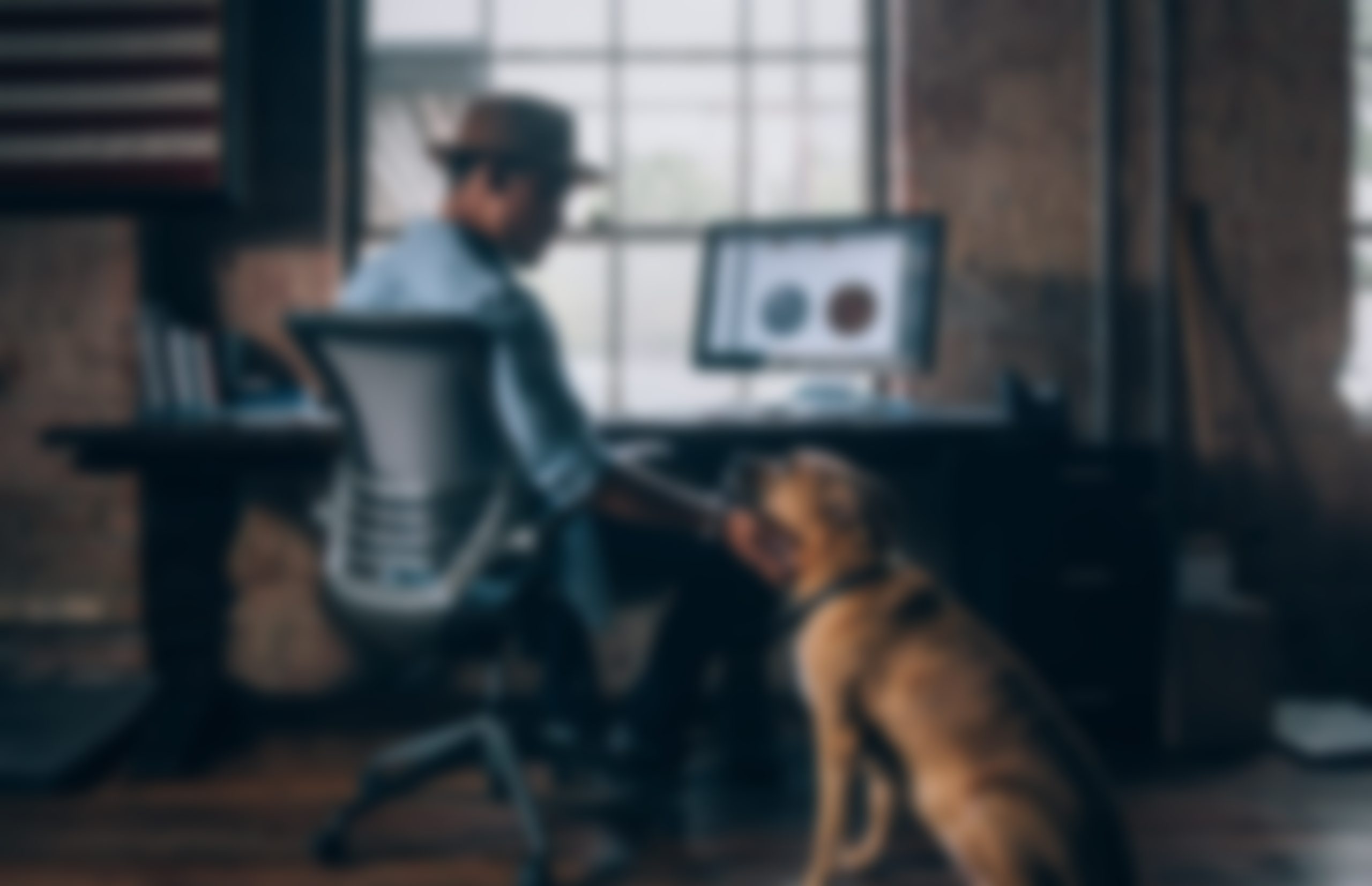 Keeping Pets In The Office: Advisable Or Not?